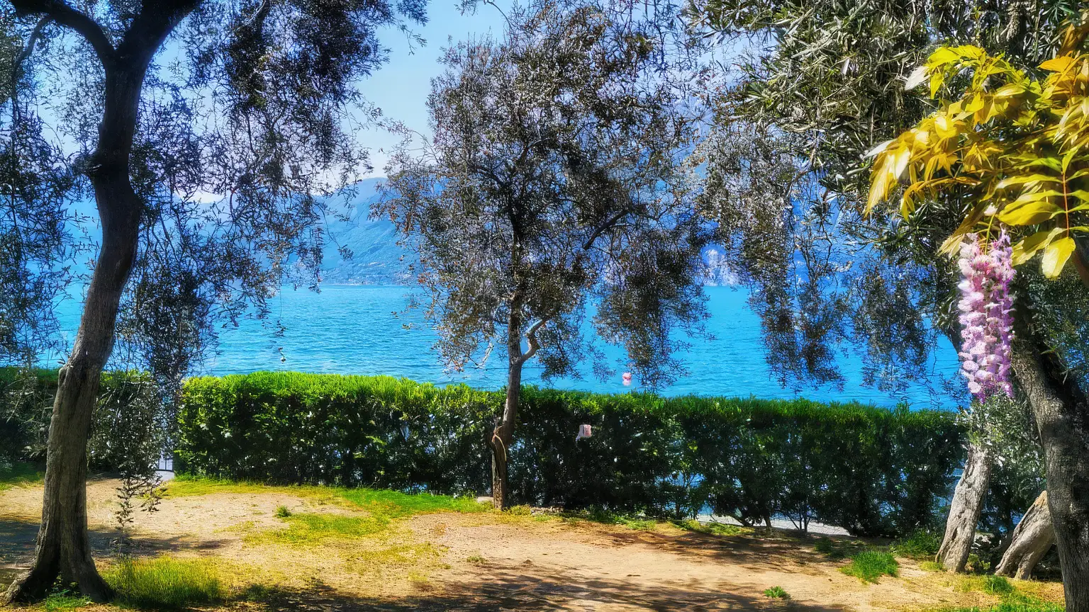 Camping Baldo – campsite on Lake Garda near Brenzone sul Garda – 3
