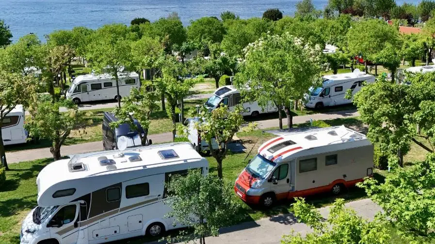 Camping Park delle Rose directly on Lake Garda near Lazise – 4